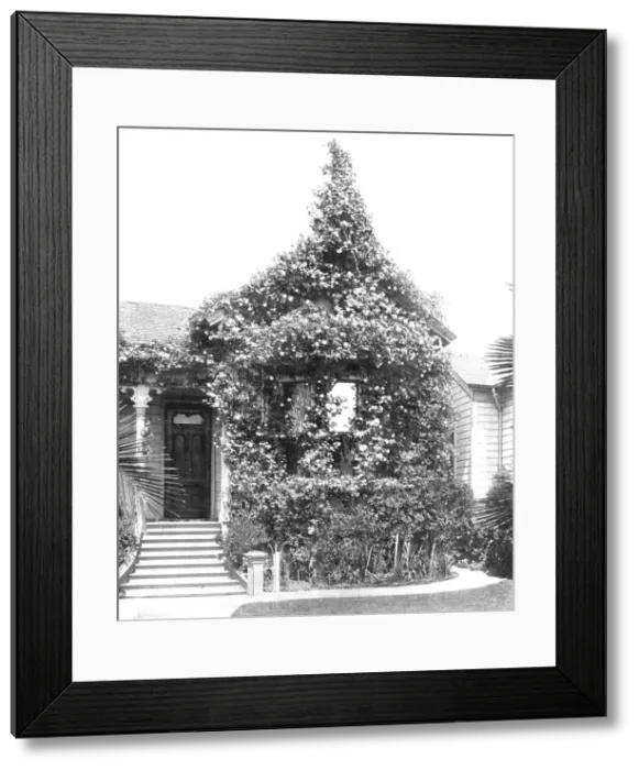 Framed Print : Rose Cottage, South Spring Street, Los Angeles, California, USA, c1900. Creator: Unknown Framed Print : Rose Cottage, South Spring Street, Los Angeles, California, USA, c1900. Creator: Unknown