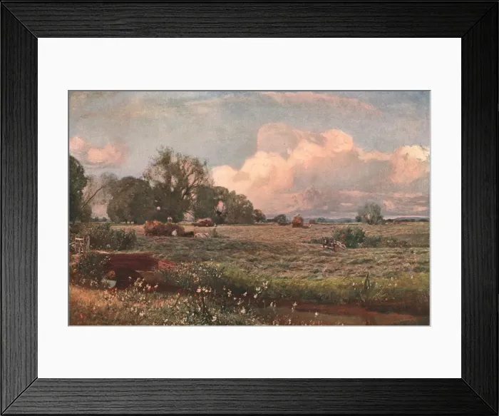 Framed Print : Meadow Sweets, 1893, (c1902). Creator: Unknown Framed Print : Meadow Sweets, 1893, (c1902). Creator: Unknown