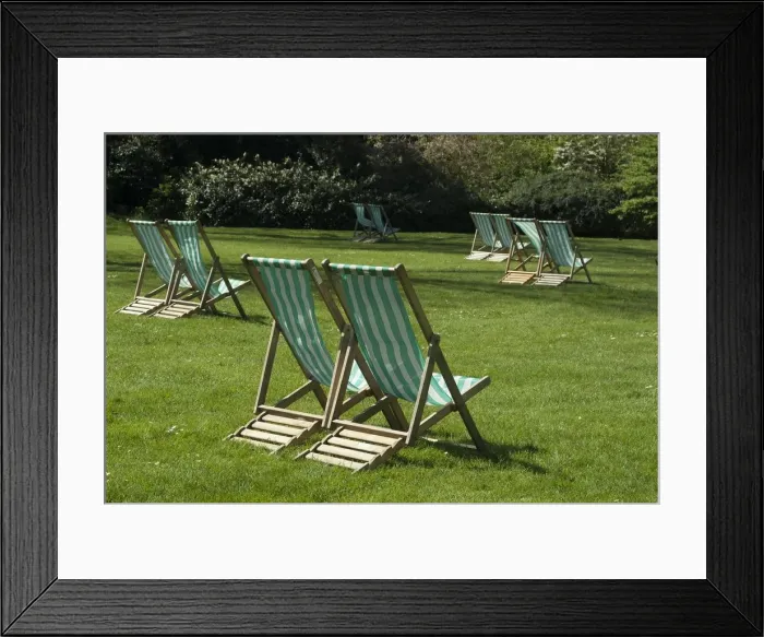 Framed Print : Regents Park, 2005. Creator: Ethel Davies Framed Print : Regents Park, 2005. Creator: Ethel Davies
