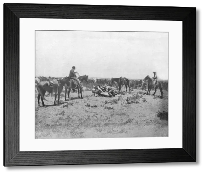 Framed Print : Inspecting a brand on the Prairies, USA, c1900. Creator: Unknown Framed Print : Inspecting a brand on the Prairies, USA, c1900. Creator: Unknown
