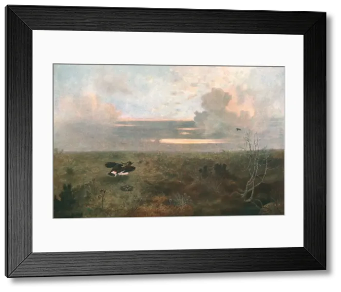 Framed Print : Disturbed: A Plover Rising from Its Nest, 1879, (c1902). Creator: Unknown Framed Print : Disturbed: A Plover Rising from Its Nest, 1879, (c1902). Creator: Unknown