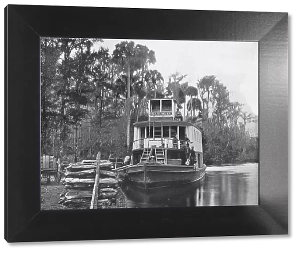 On the Ocklawaha River, Florida, USA, c1900. Creator: Unknown