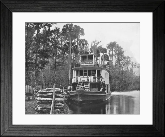 Framed Print : On the Ocklawaha River, Florida, USA, c1900. Creator: Unknown Framed Print : On the Ocklawaha River, Florida, USA, c1900. Creator: Unknown