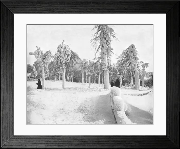 Framed Print : Frost Work in Prospect Park, Niagara, USA, c1900. Creator: Unknown Framed Print : Frost Work in Prospect Park, Niagara, USA, c1900. Creator: Unknown