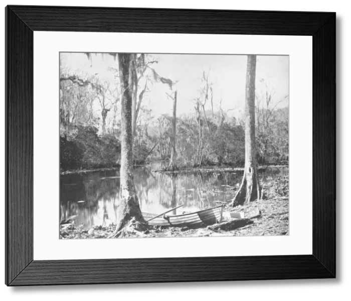 Framed Print : A Feeder of the St. Johns River, Florida, USA, c1900. Creator: Unknown Framed Print : A Feeder of the St. Johns River, Florida, USA, c1900. Creator: Unknown