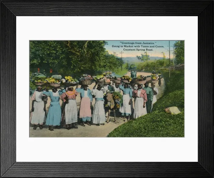 Framed Print : Greetings from Jamaica. Going to Market with Yams and Canes. Constant Spring Road, 1913 Framed Print : Greetings from Jamaica. Going to Market with Yams and Canes. Constant Spring Road, 1913