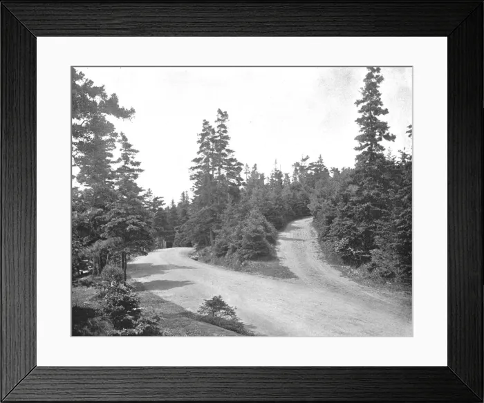 Framed Print : Point Pleasant Park, Halifax, Nova Scotia, Canada, c1900. Creator: Unknown Framed Print : Point Pleasant Park, Halifax, Nova Scotia, Canada, c1900. Creator: Unknown