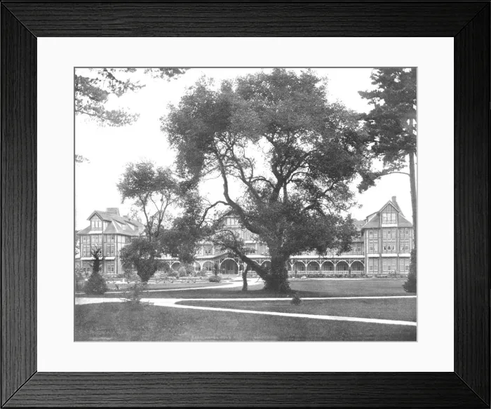 Framed Print : Del Monte, Monterey, California, USA, c1900. Creator: Unknown Framed Print : Del Monte, Monterey, California, USA, c1900. Creator: Unknown