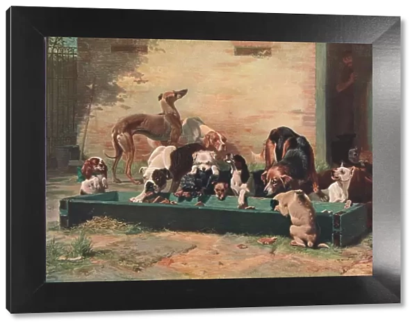 Table d Hote at a Dogs Home, 1880, (c1902). Creator: Unknown