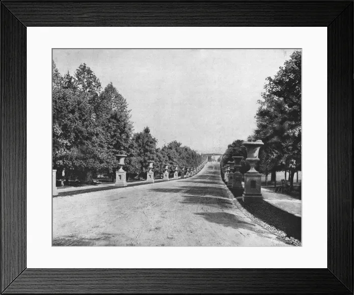 Framed Print : Druid Hill Park, Baltimore, Maryland, USA, c1900. Creator: Unknown Framed Print : Druid Hill Park, Baltimore, Maryland, USA, c1900. Creator: Unknown