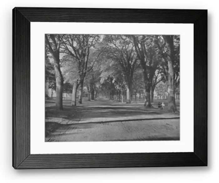 Framed Print : The Elms, New Haven, Connecticut, USA, c1900. Creator: Unknown Framed Print : The Elms, New Haven, Connecticut, USA, c1900. Creator: Unknown
