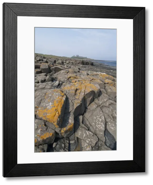 Framed Print : Dunstanburgh, 2006. Creator: Ethel Davies Framed Print : Dunstanburgh, 2006. Creator: Ethel Davies