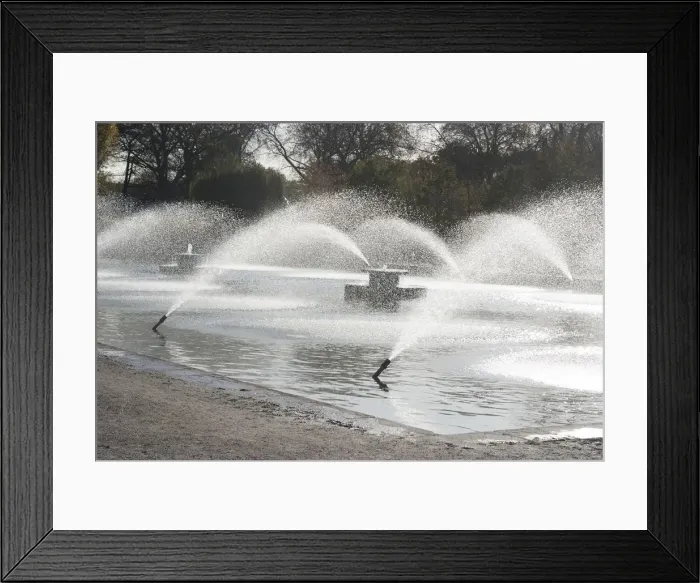 Framed Print : UK, London, Battersea Park, 2009. Creator: Ethel Davies Framed Print : UK, London, Battersea Park, 2009. Creator: Ethel Davies