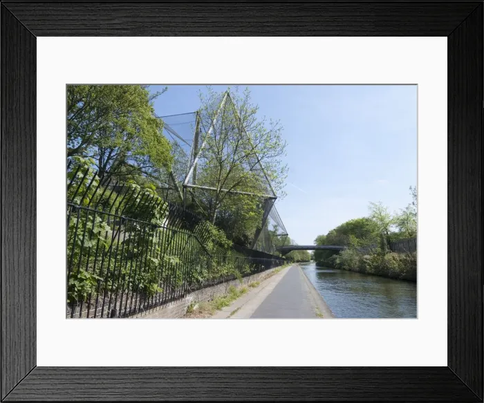 Framed Print : Aviary, Regents Park Zoo, 2009. Creator: Ethel Davies Framed Print : Aviary, Regents Park Zoo, 2009. Creator: Ethel Davies
