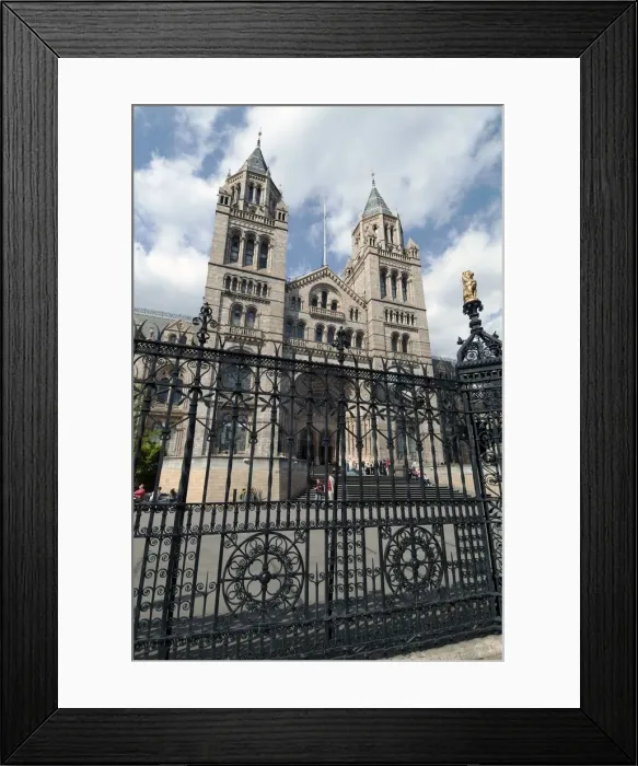 Framed Print : Nat His Museum, 2005. Creator: Ethel Davies Framed Print : Nat His Museum, 2005. Creator: Ethel Davies
