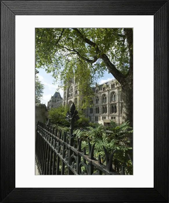 Framed Print : Nat Hist Museum, 2005. Creator: Ethel Davies Framed Print : Nat Hist Museum, 2005. Creator: Ethel Davies