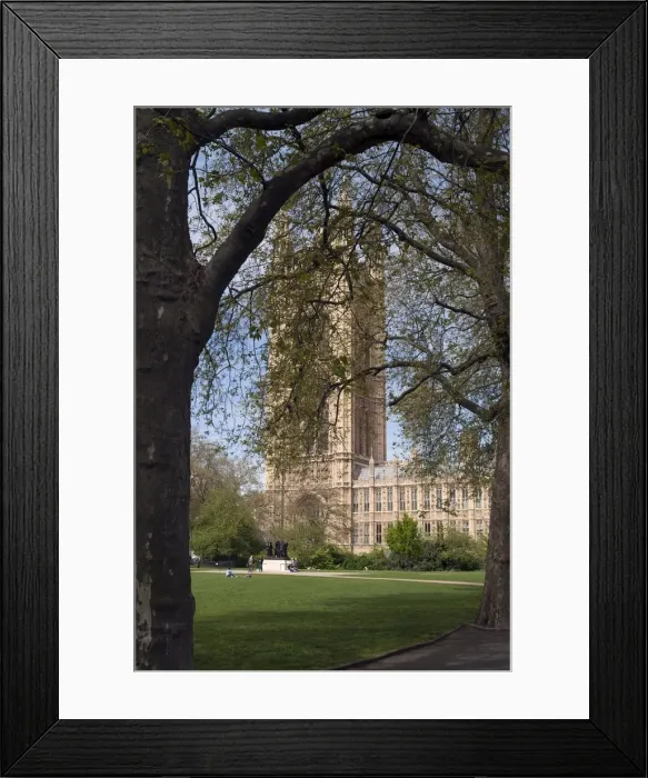 Framed Print : Parliament Gardens, 2005. Creator: Ethel Davies Framed Print : Parliament Gardens, 2005. Creator: Ethel Davies