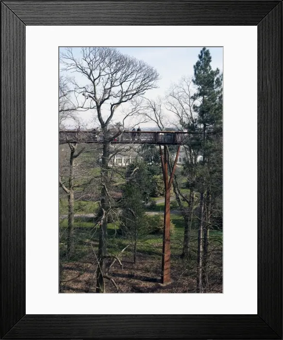 Framed Print : Kew Gardens, 2009. Creator: Ethel Davies Framed Print : Kew Gardens, 2009. Creator: Ethel Davies