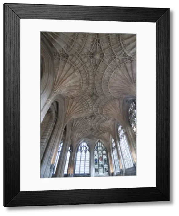 Framed Print : Peterborough Cathedral, 2006. Creator: Ethel Davies Framed Print : Peterborough Cathedral, 2006. Creator: Ethel Davies