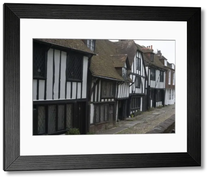 Framed Print : Rye, 2009. Creator: Ethel Davies Framed Print : Rye, 2009. Creator: Ethel Davies