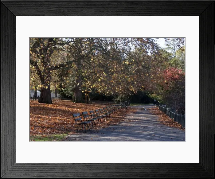 Framed Print : UK, London, Battersea Park, 2009. Creator: Ethel Davies Framed Print : UK, London, Battersea Park, 2009. Creator: Ethel Davies