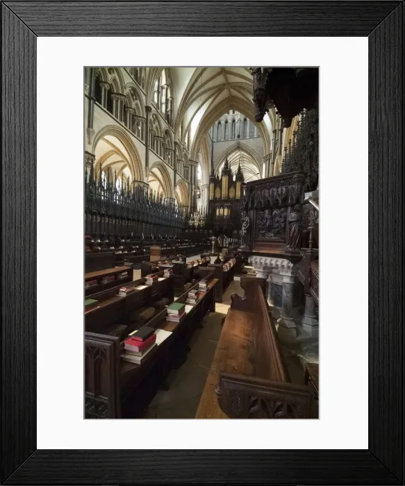 Framed Print : Lincoln Cathedral, 2006. Creator: Ethel Davies Framed Print : Lincoln Cathedral, 2006. Creator: Ethel Davies