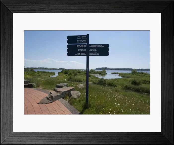 Framed Print : Cardiff, Wetlands Reserve, 2009. Creator: Ethel Davies Framed Print : Cardiff, Wetlands Reserve, 2009. Creator: Ethel Davies