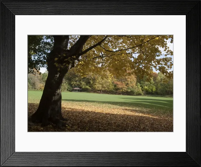 Framed Print : UK, London, Hampstead Heath, 2009. Creator: Ethel Davies Framed Print : UK, London, Hampstead Heath, 2009. Creator: Ethel Davies
