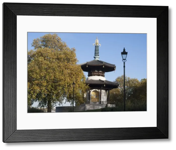 Framed Print : UK, London, Battersea Park, 2009. Creator: Ethel Davies Framed Print : UK, London, Battersea Park, 2009. Creator: Ethel Davies