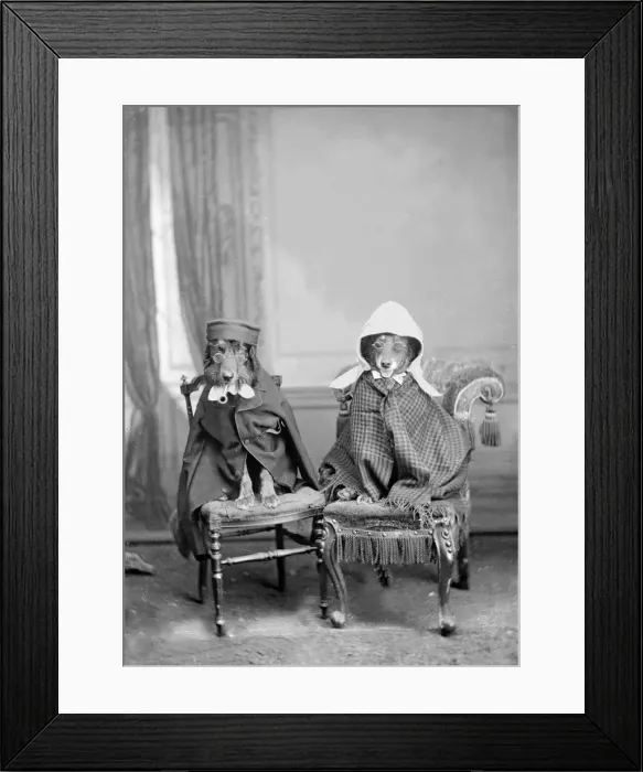 Framed Print : Dogs dressed in clothes, 1930s. Creator: Kirk & Sons of Cowes Framed Print : Dogs dressed in clothes, 1930s. Creator: Kirk & Sons of Cowes