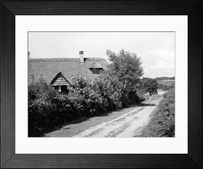 Framed Print : Thatched cottage, c1935. Creator: Kirk & Sons of Cowes Framed Print : Thatched cottage, c1935. Creator: Kirk & Sons of Cowes