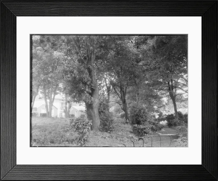 Framed Print : Garden, c1935. Creator: Kirk & Sons of Cowes Framed Print : Garden, c1935. Creator: Kirk & Sons of Cowes