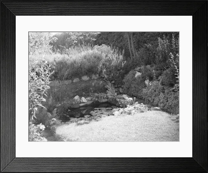 Framed Print : Pond in a garden, c1935. Creator: Kirk & Sons of Cowes Framed Print : Pond in a garden, c1935. Creator: Kirk & Sons of Cowes