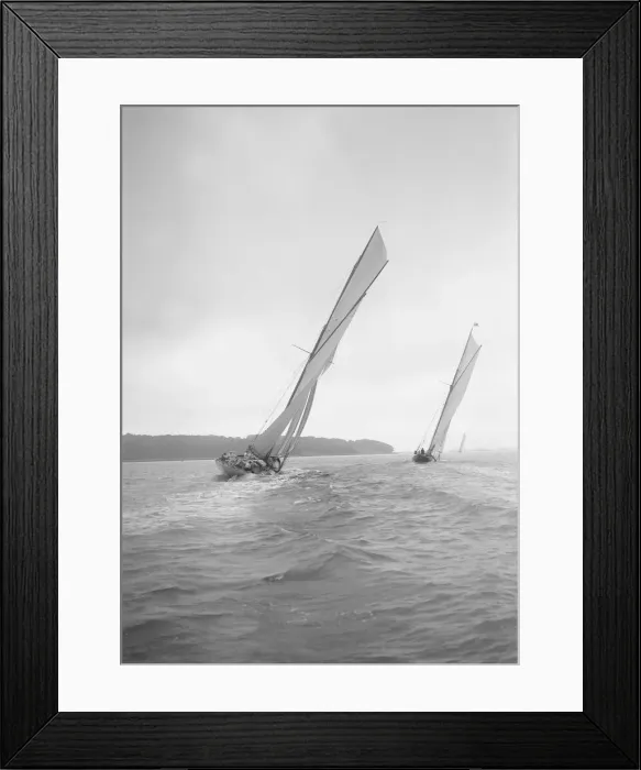 Framed Print : The racing cutters Rosamond and Creole sailing close-hauled, 1911. Creator Framed Print : The racing cutters Rosamond and Creole sailing close-hauled, 1911. Creator