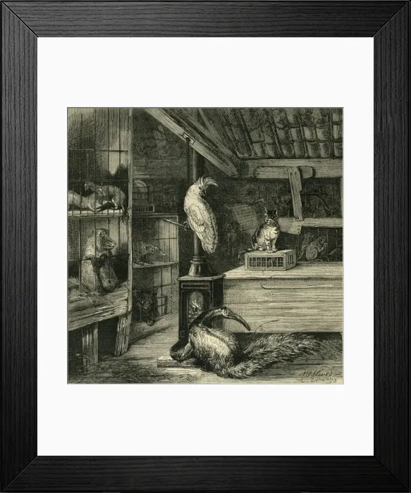 Framed Print : A Wild-Beast Shop, c1873. Creator: Unknown Framed Print : A Wild-Beast Shop, c1873. Creator: Unknown