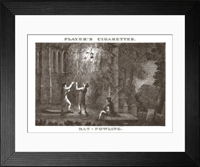 Framed Print : Bat-Fowling, (1924). Creator: Unknown Framed Print : Bat-Fowling, (1924). Creator: Unknown