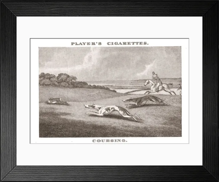 Framed Print : Coursing-(11), (1924). Creator: Unknown Framed Print : Coursing-(11), (1924). Creator: Unknown