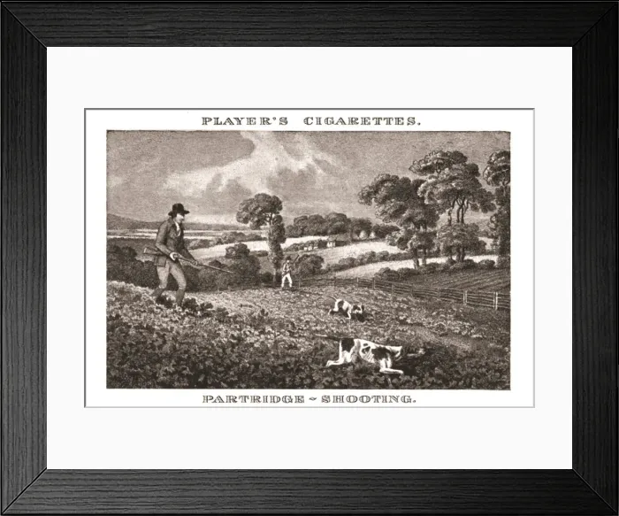 Framed Print : Partridge-Shooting, (1924). Creator: Unknown Framed Print : Partridge-Shooting, (1924). Creator: Unknown