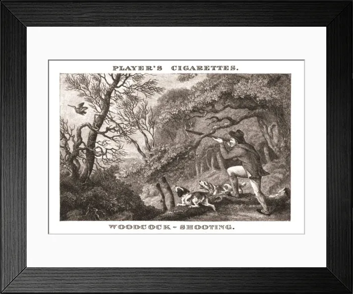 Framed Print : Woodcock-Shooting, (1924). Creator: Unknown Framed Print : Woodcock-Shooting, (1924). Creator: Unknown