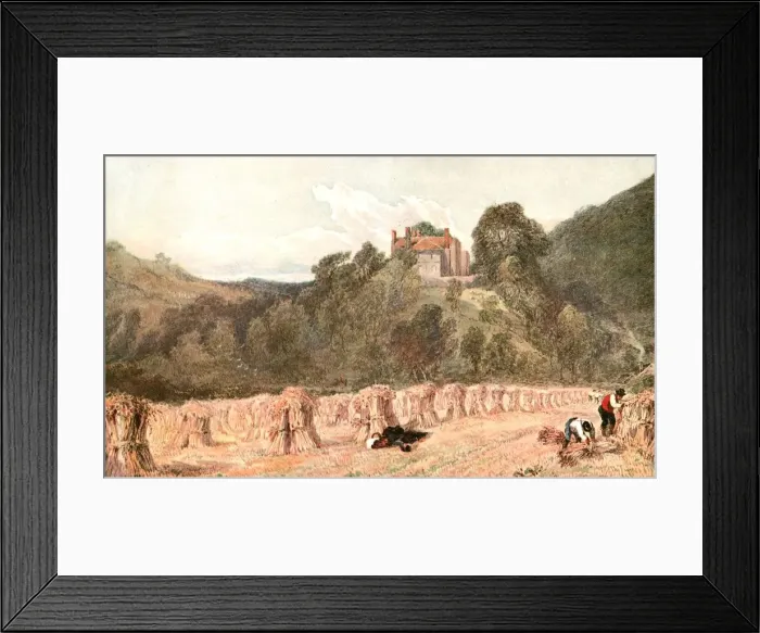 Framed Print : A Cornfield, c1840s, (c1900). Creator: Unknown Framed Print : A Cornfield, c1840s, (c1900). Creator: Unknown