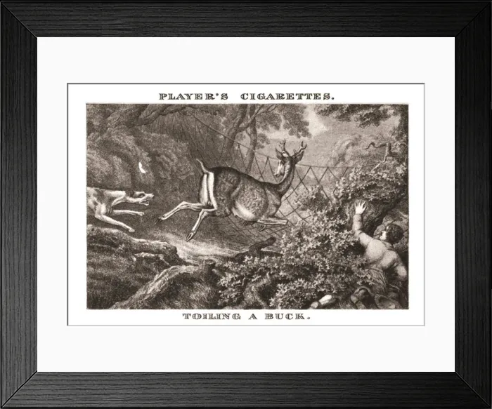 Framed Print : Toiling a Buck, (1924). Creator: Unknown