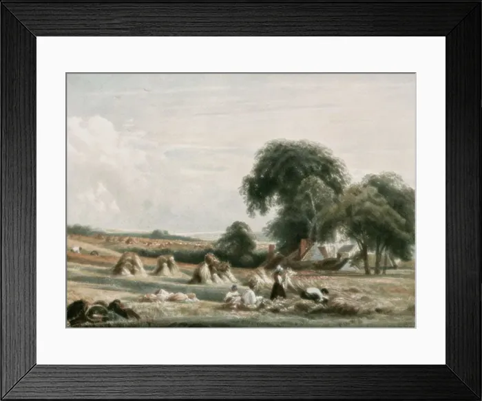 Framed Print : A Harvest Scene, (c1900). Creator: Unknown Framed Print : A Harvest Scene, (c1900). Creator: Unknown