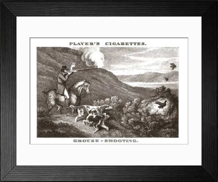 Framed Print : Grouse-Shooting, (1924). Creator: Unknown Framed Print : Grouse-Shooting, (1924). Creator: Unknown