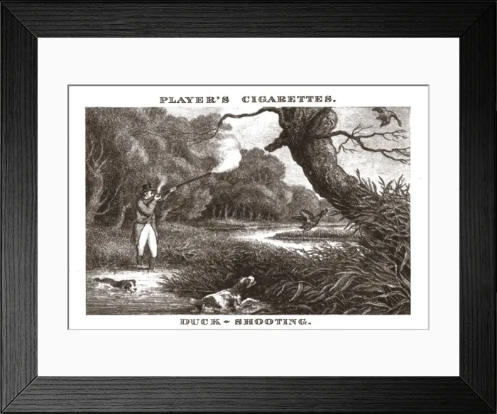 Framed Print : Duck-Shooting, (1924). Creator: Unknown Framed Print : Duck-Shooting, (1924). Creator: Unknown