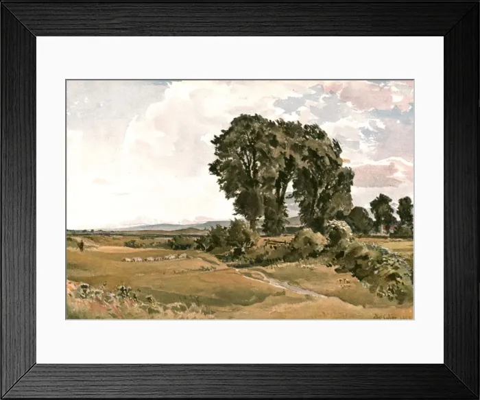 Framed Print : Landscape, near Wareham, Dorset - an Outdoor Sketch, (c1900). Creator: Unknown Framed Print : Landscape, near Wareham, Dorset - an Outdoor Sketch, (c1900). Creator: Unknown