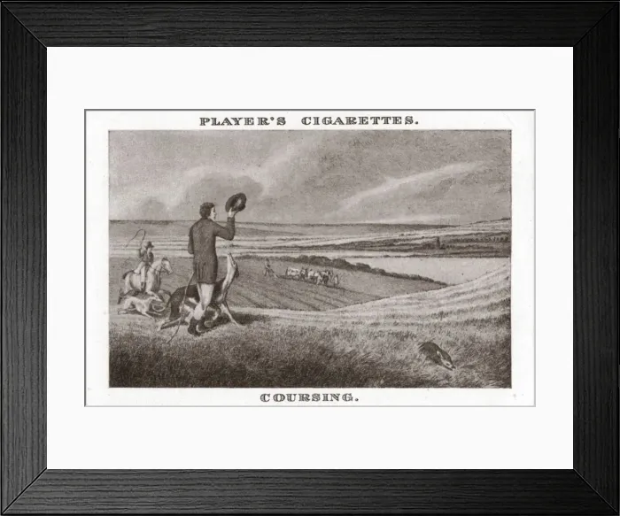 Framed Print : Coursing-(1), (1924). Creator: Unknown Framed Print : Coursing-(1), (1924). Creator: Unknown