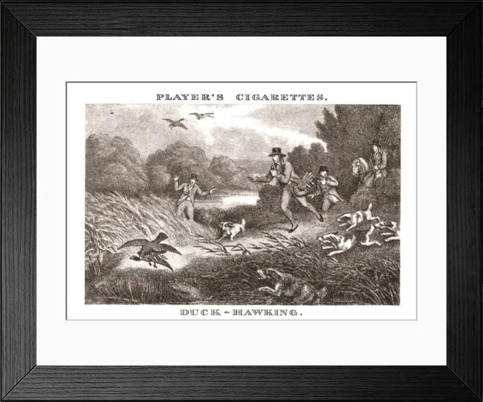 Framed Print : Duck-Hawking, (1924). Creator: Unknown Framed Print : Duck-Hawking, (1924). Creator: Unknown