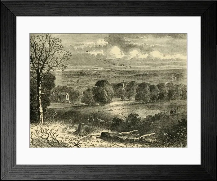 Framed Print : Site of the Crystal Palace in 1852, (c1878). Creator: Unknown Framed Print : Site of the Crystal Palace in 1852, (c1878). Creator: Unknown