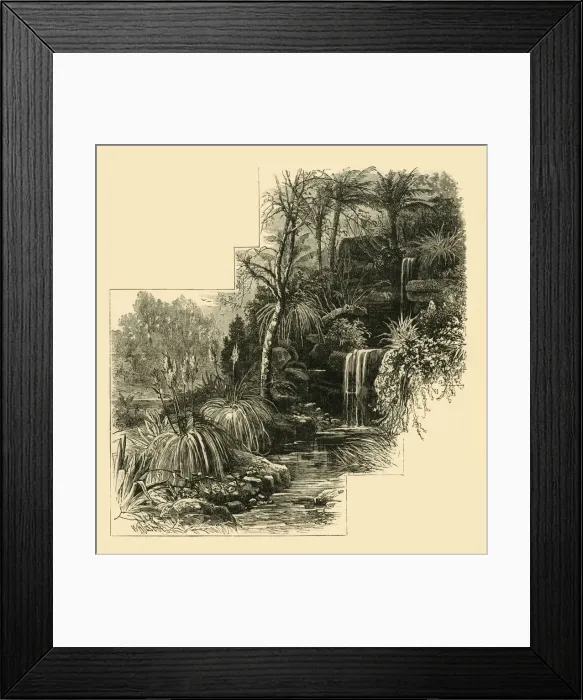 Framed Print : The Tropical Gardens, Battersea Park, (c1878). Creator: Unknown Framed Print : The Tropical Gardens, Battersea Park, (c1878). Creator: Unknown