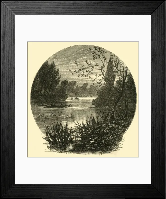 Framed Print : The Lake, Battersea Park, (c1878). Creator: Unknown Framed Print : The Lake, Battersea Park, (c1878). Creator: Unknown